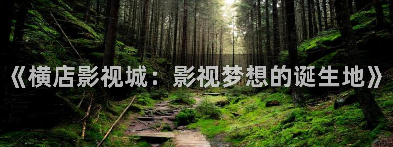 精品探花：《横店影视城：影视梦想的诞生地》