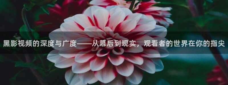 下载探花视频：黑影视频的深度与广度——从幕后到现实，观看者的世界在你的指尖