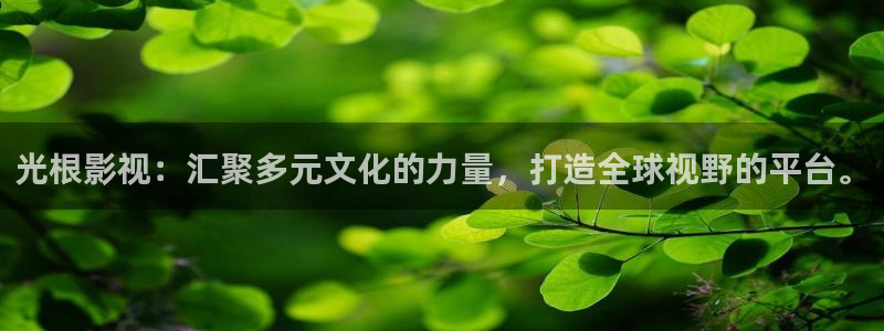 探花啪啪视频：光根影视：汇聚多元文化的力量，打造全球视野的平台。