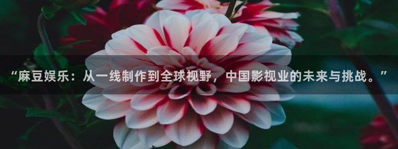 探花视频高清免费观看：“麻豆娱乐：从一线制作到全球视野，中国影视业的未来与挑战。”