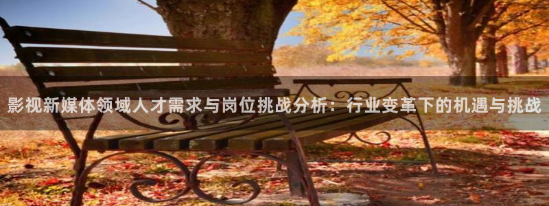 探花综合视频：影视新媒体领域人才需求与岗位挑战分析：行业变革下的机遇与挑战