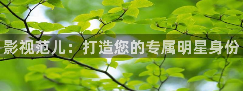 探花的视频：影视范儿：打造您的专属明星身份
