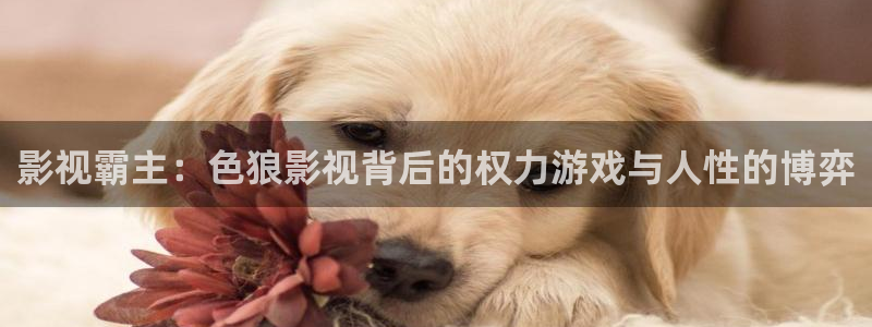 探花视频在线观看免费版：影视霸主：色狼影视背后的权力游戏与人性的博弈