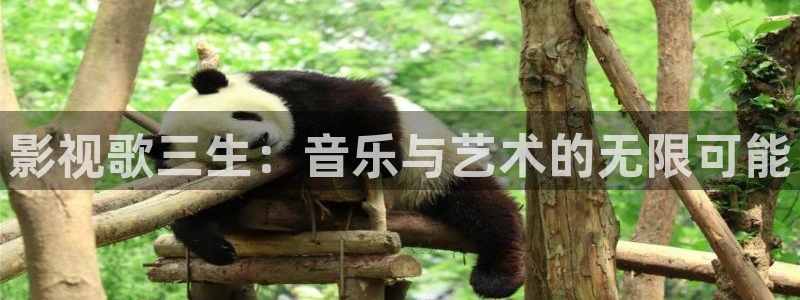 探花视频在线观看免费观看：影视歌三生：音乐与艺术的无限可能