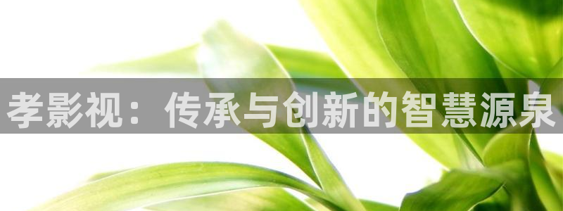 国产视频探花一区：孝影视：传承与创新的智慧源泉
