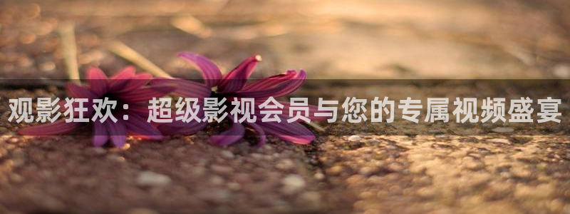 探花高清视频：观影狂欢：超级影视会员与您的专属视频盛宴
